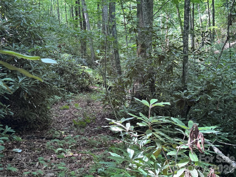 10A Reserve Road Brevard, NC 28768