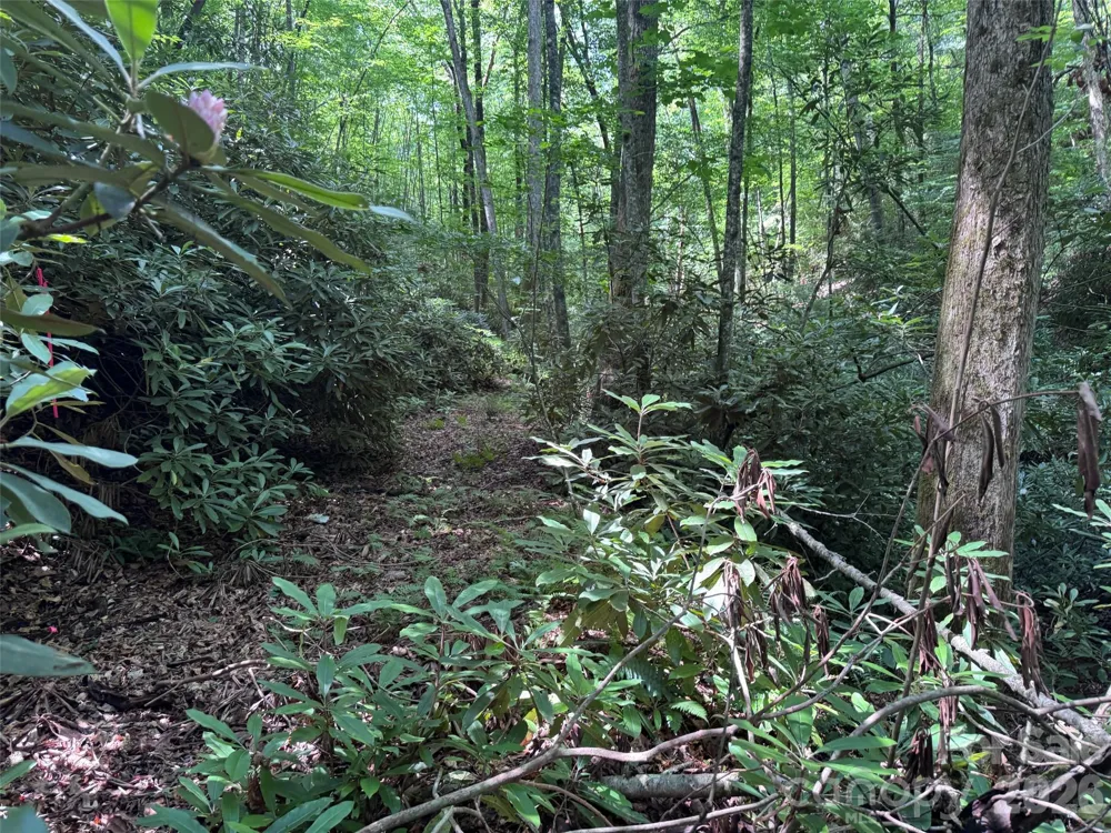 10A Reserve Road Brevard, NC 28768