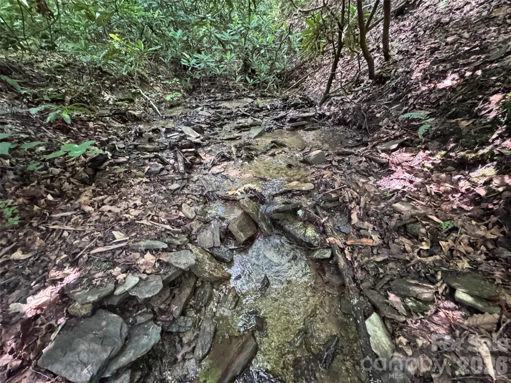 10A Reserve Road Brevard, NC 28768