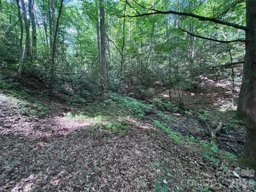 10A Reserve Road Brevard, NC 28768