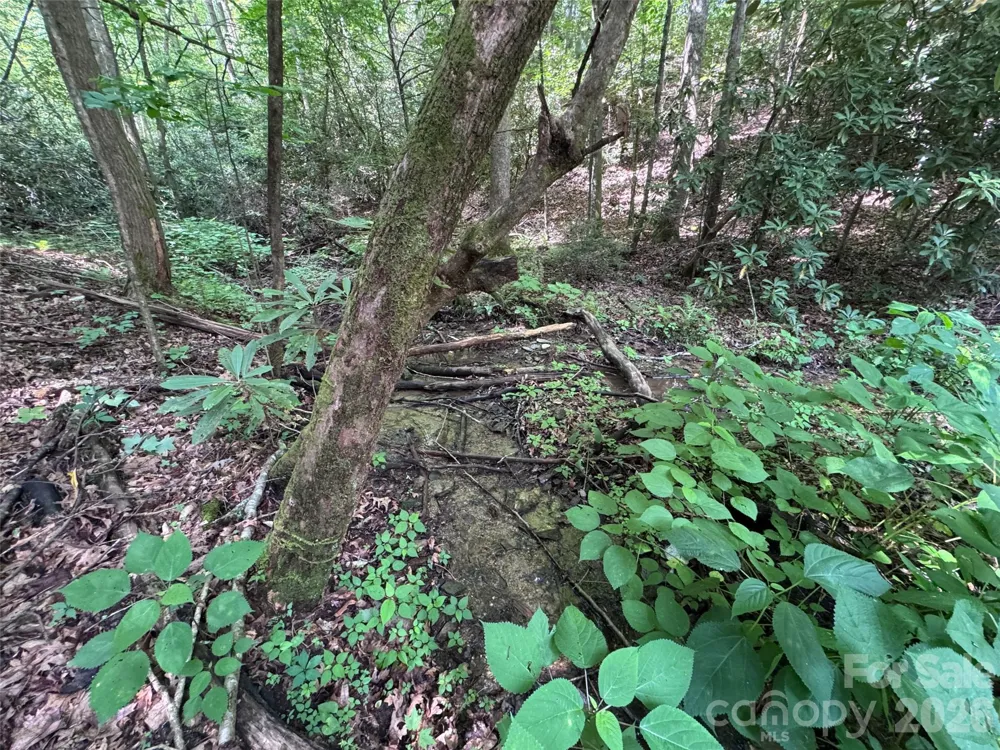 10A Reserve Road Brevard, NC 28768