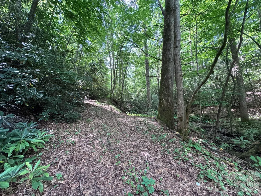 10A Reserve Road Brevard, NC 28768