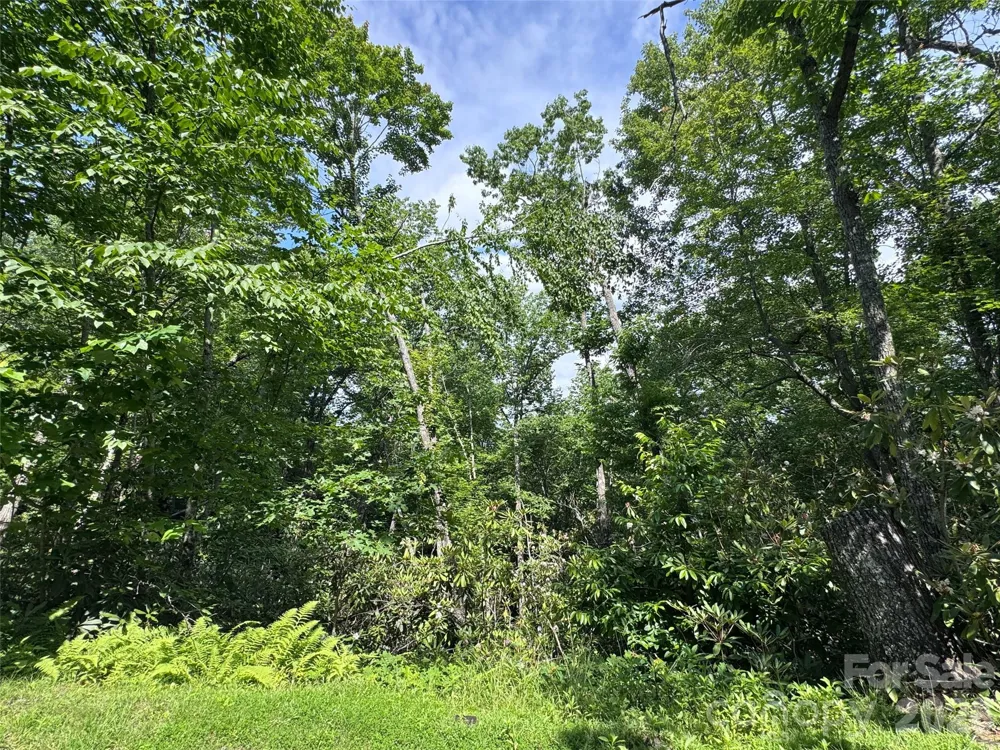 10A Reserve Road Brevard, NC 28768