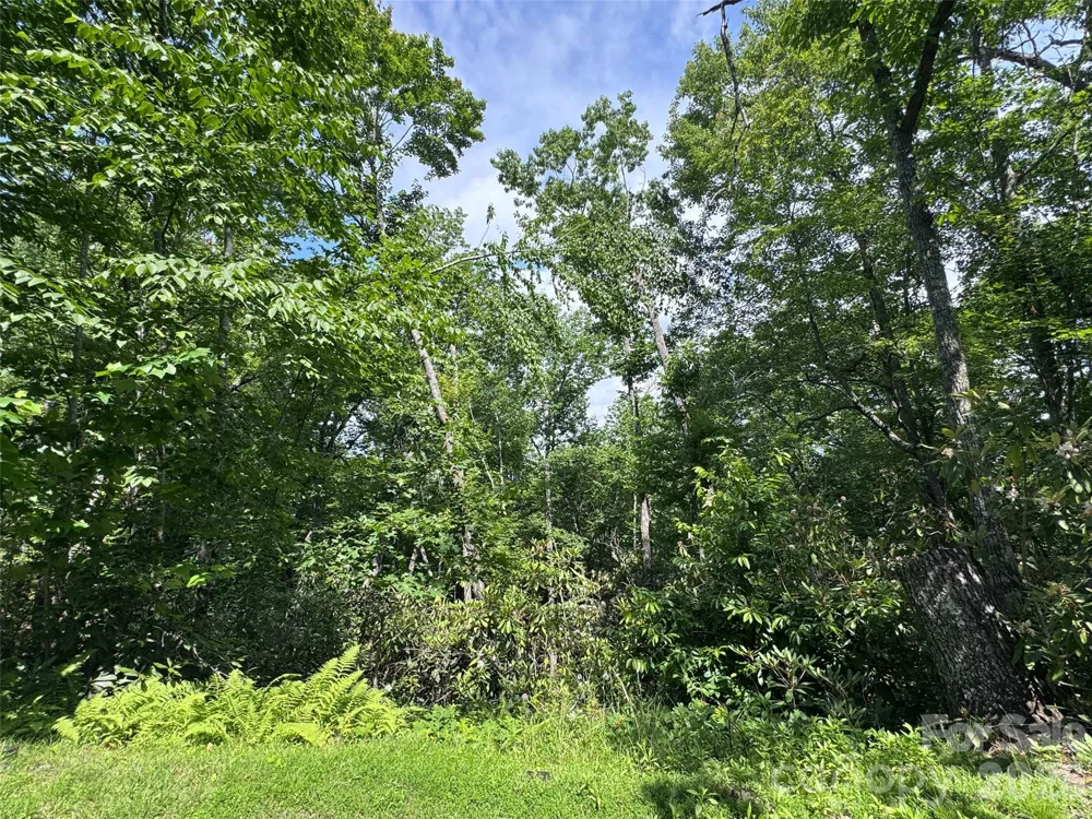 10A Reserve Road Brevard, NC 28768
