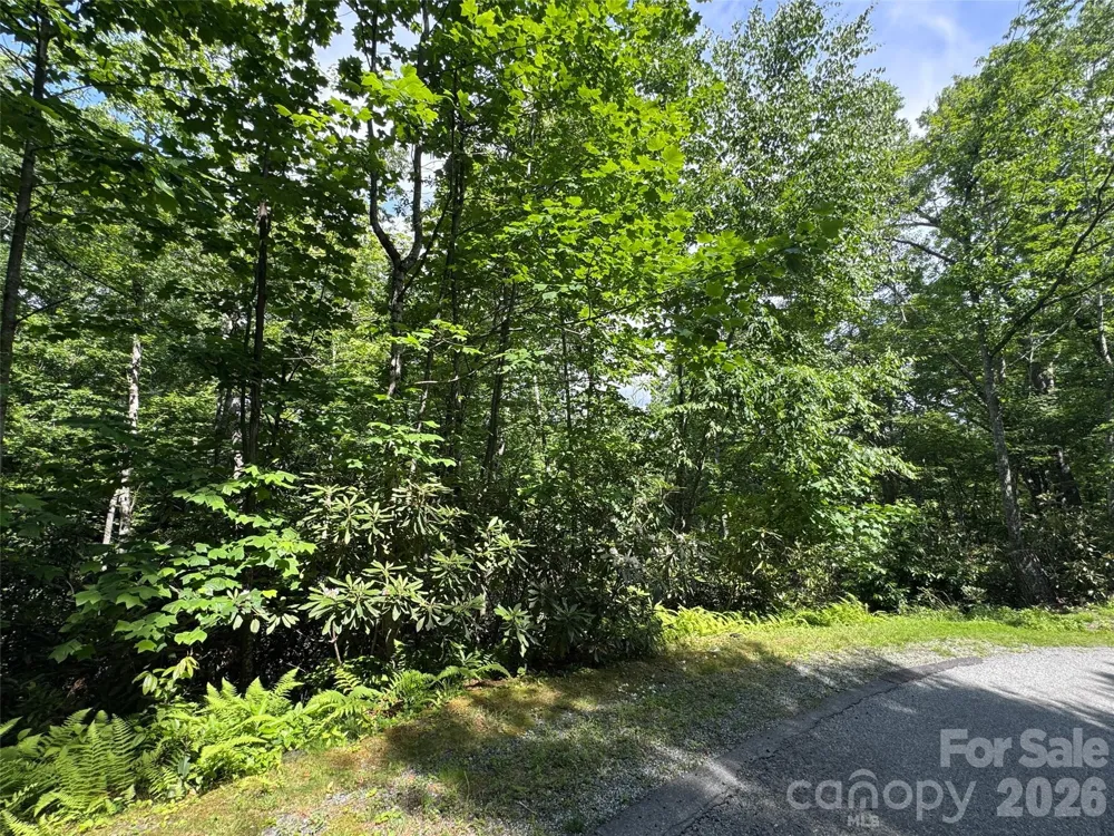 10A Reserve Road Brevard, NC 28768