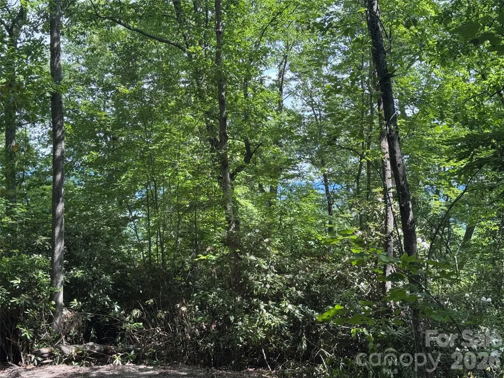 10A Reserve Road Brevard, NC 28768