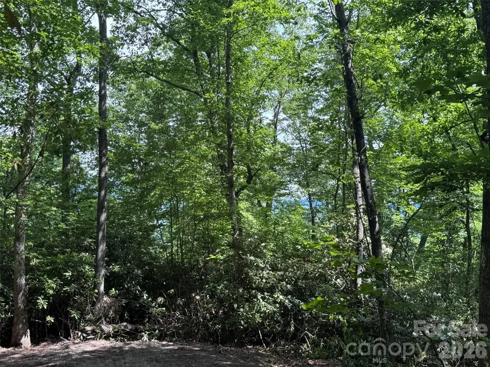 10A Reserve Road Brevard, NC 28768