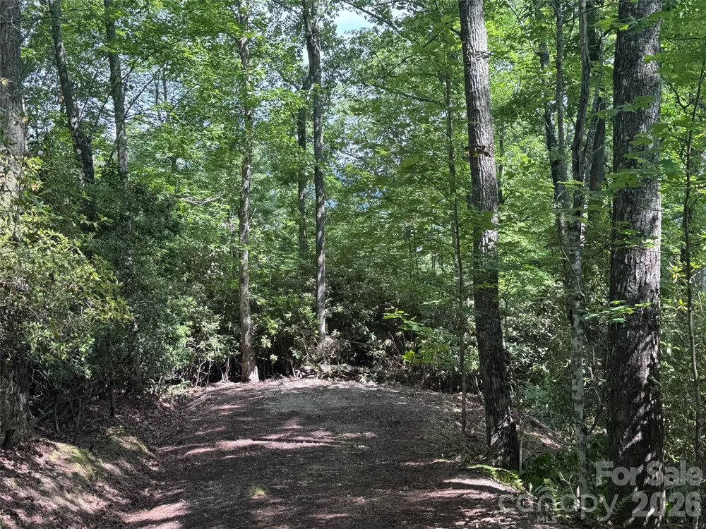 10A Reserve Road Brevard, NC 28768