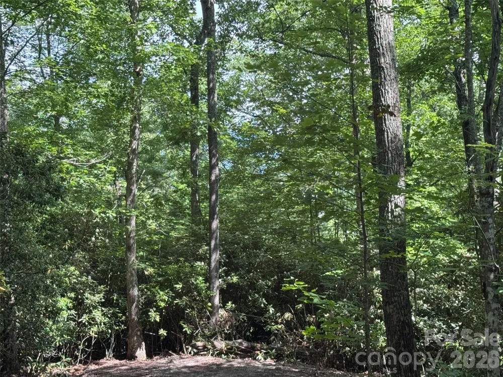 10A Reserve Road Brevard, NC 28768