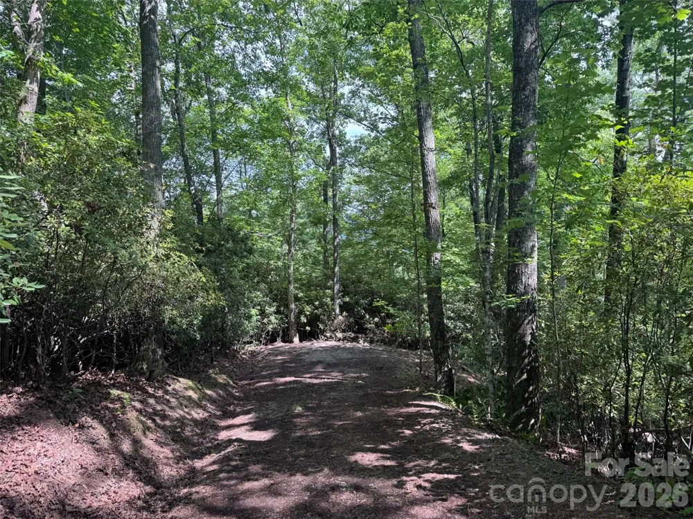 10A Reserve Road Brevard, NC 28768