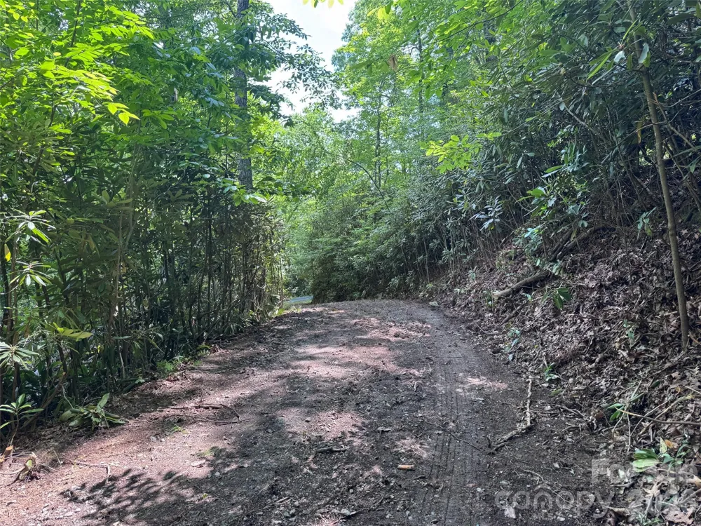 10A Reserve Road Brevard, NC 28768