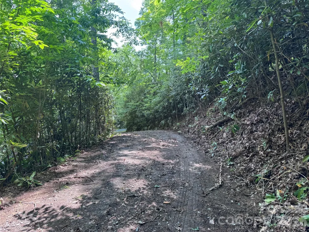 10A Reserve Road Brevard, NC 28768