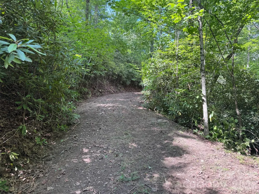 10A Reserve Road Brevard, NC 28768