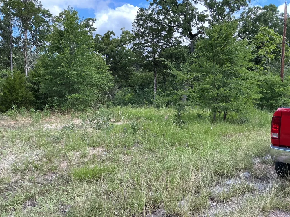 175 Chillacothe Trail Mabank, TX 75156
