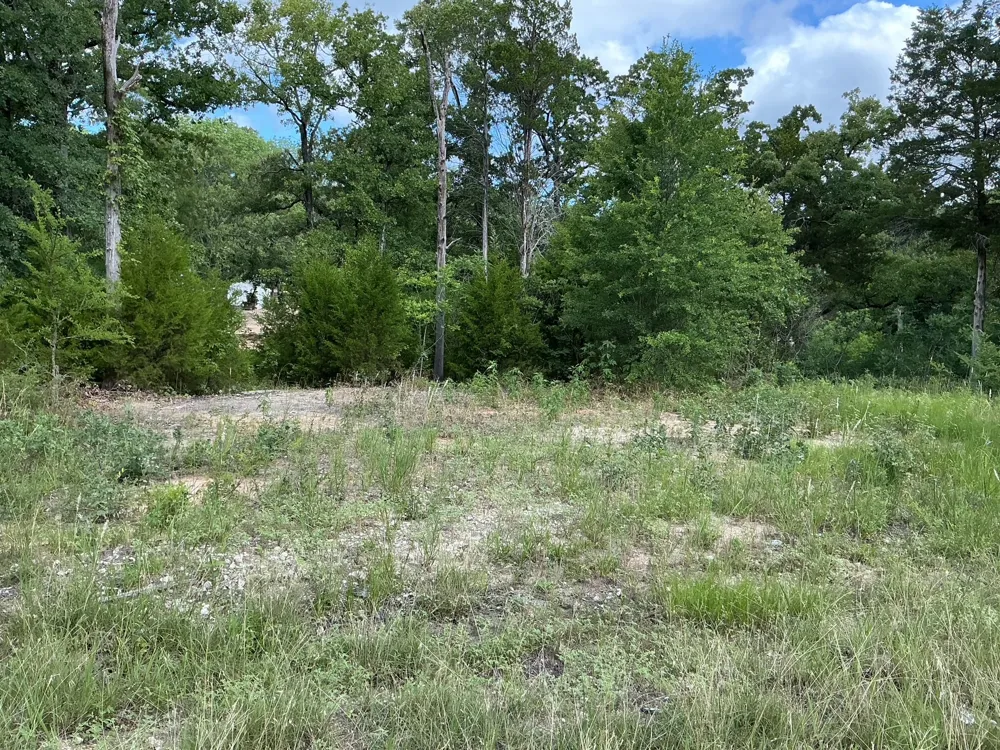 175 Chillacothe Trail Mabank, TX 75156