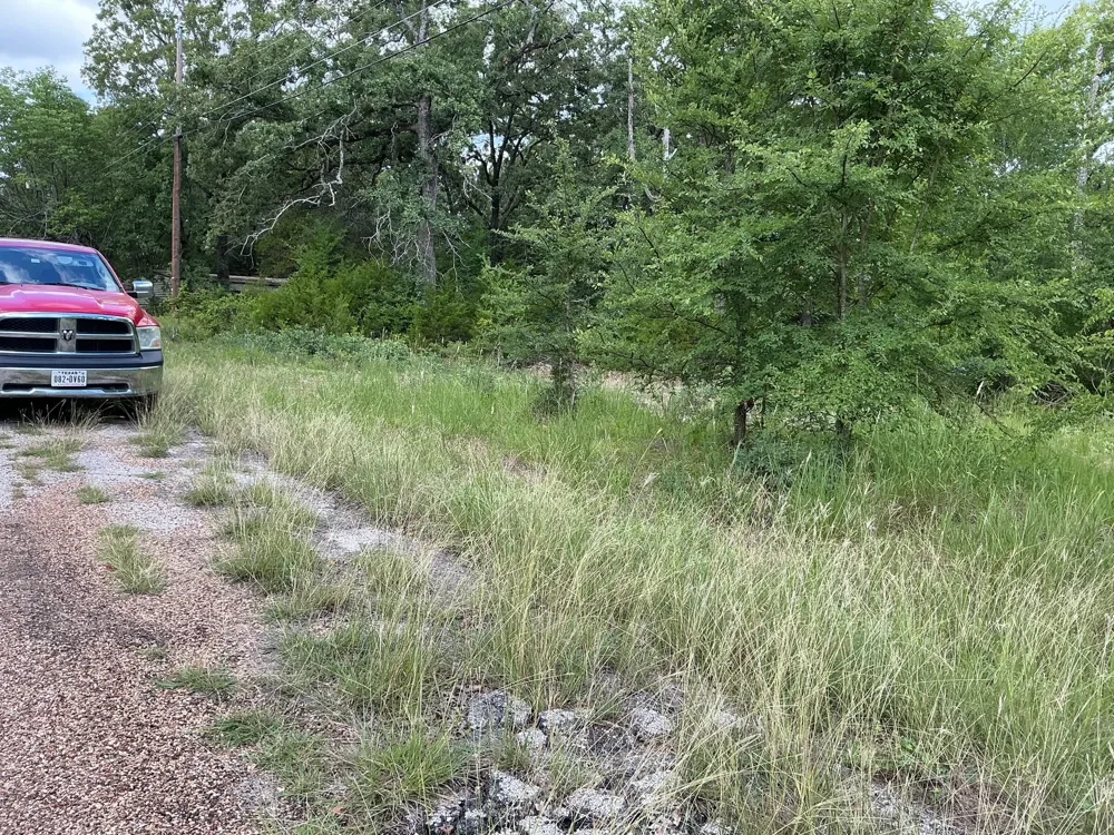 175 Chillacothe Trail Mabank, TX 75156