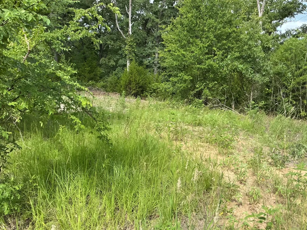 175 Chillacothe Trail Mabank, TX 75156