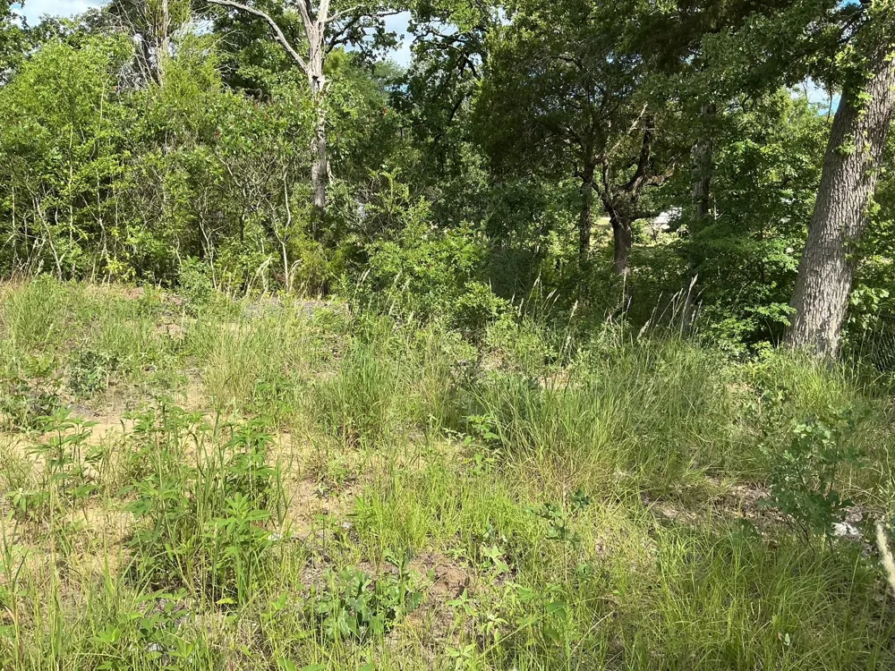 175 Chillacothe Trail Mabank, TX 75156