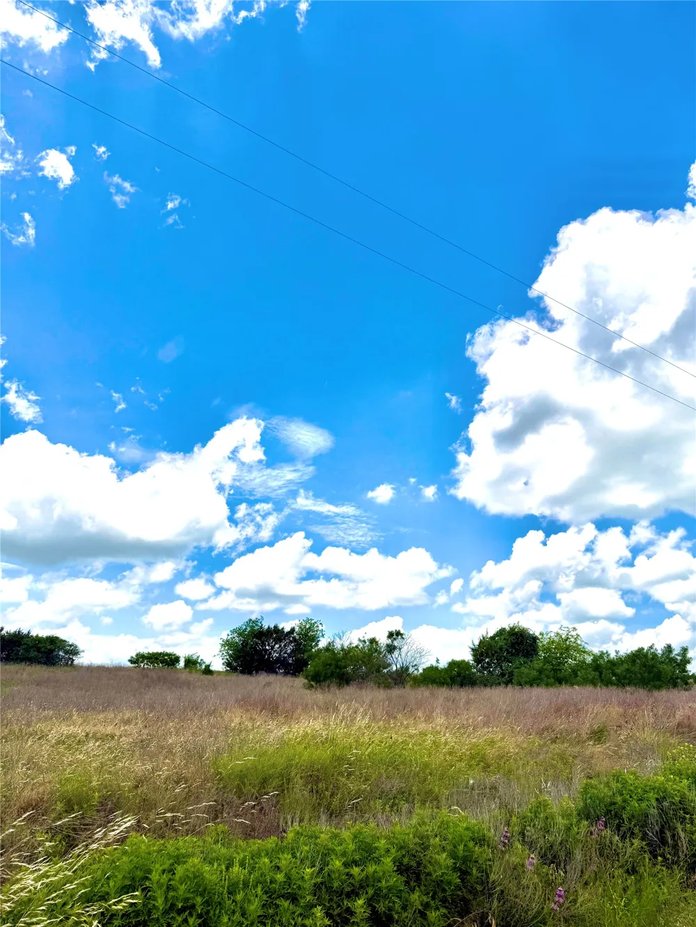 75 Adobe Hill Drive Stephenville, TX 76401