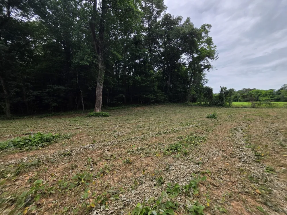 6 Shellsford Rd McMinnville, TN 37110