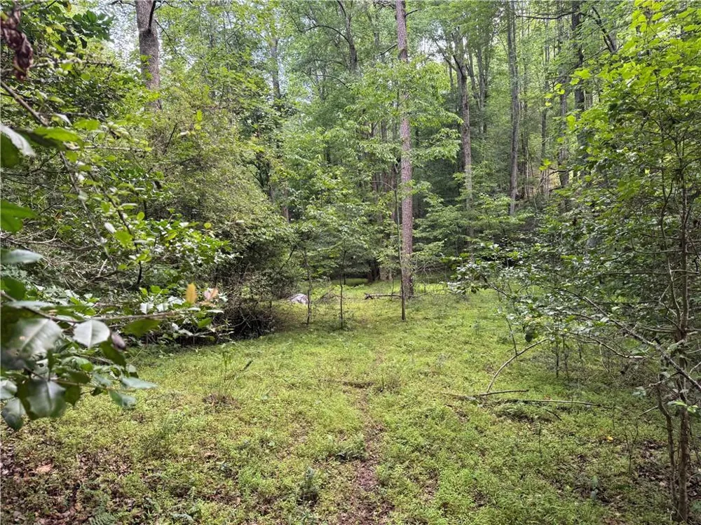 3.5 AC Ben Higgins Road Dahlonega, GA 30533