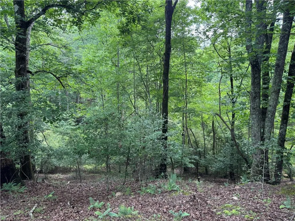 3.5 AC Ben Higgins Road Dahlonega, GA 30533