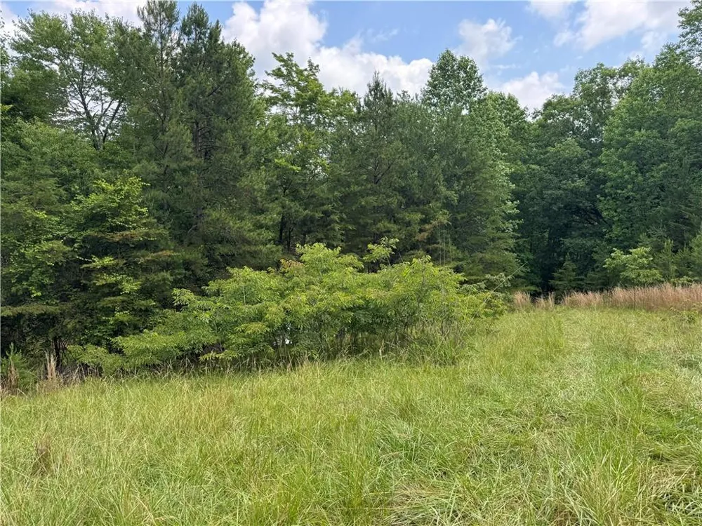 3.5 AC Ben Higgins Road Dahlonega, GA 30533