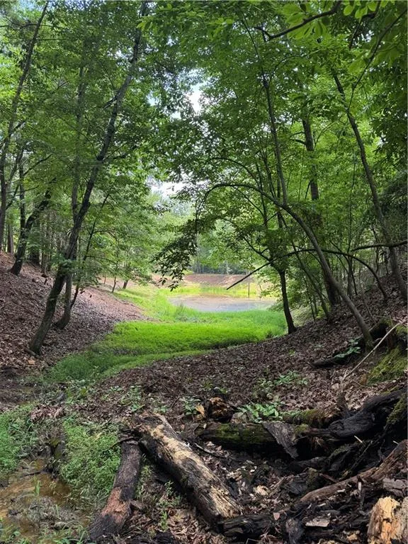 3.5 AC Ben Higgins Road Dahlonega, GA 30533