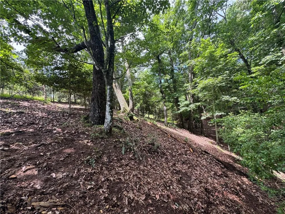 3.5 AC Ben Higgins Road Dahlonega, GA 30533