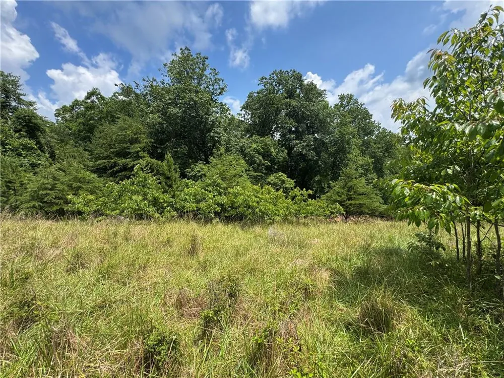 3.5 AC Ben Higgins Road Dahlonega, GA 30533