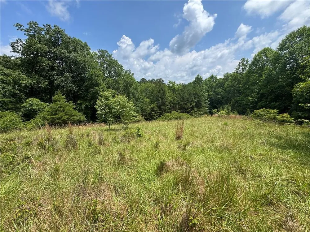 3.5 AC Ben Higgins Road Dahlonega, GA 30533