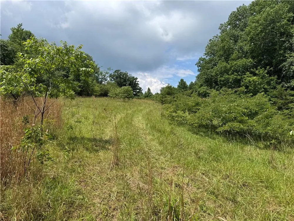 3.5 AC Ben Higgins Road Dahlonega, GA 30533