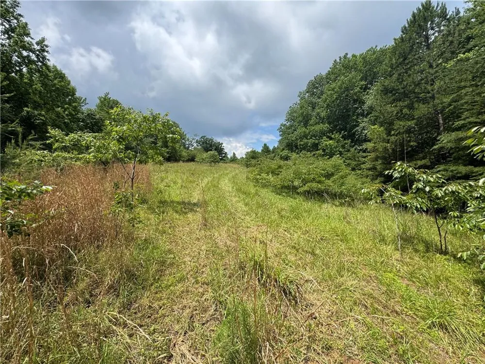 3.5 AC Ben Higgins Road Dahlonega, GA 30533