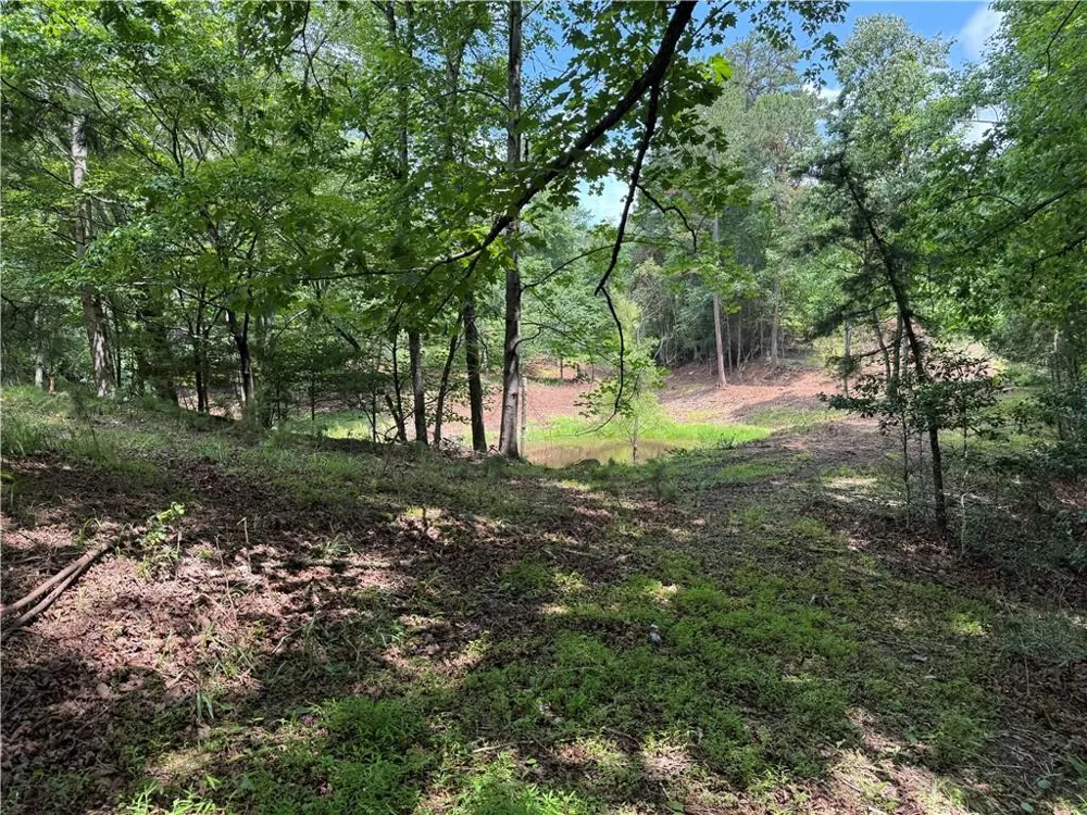 3.5 AC Ben Higgins Road Dahlonega, GA 30533