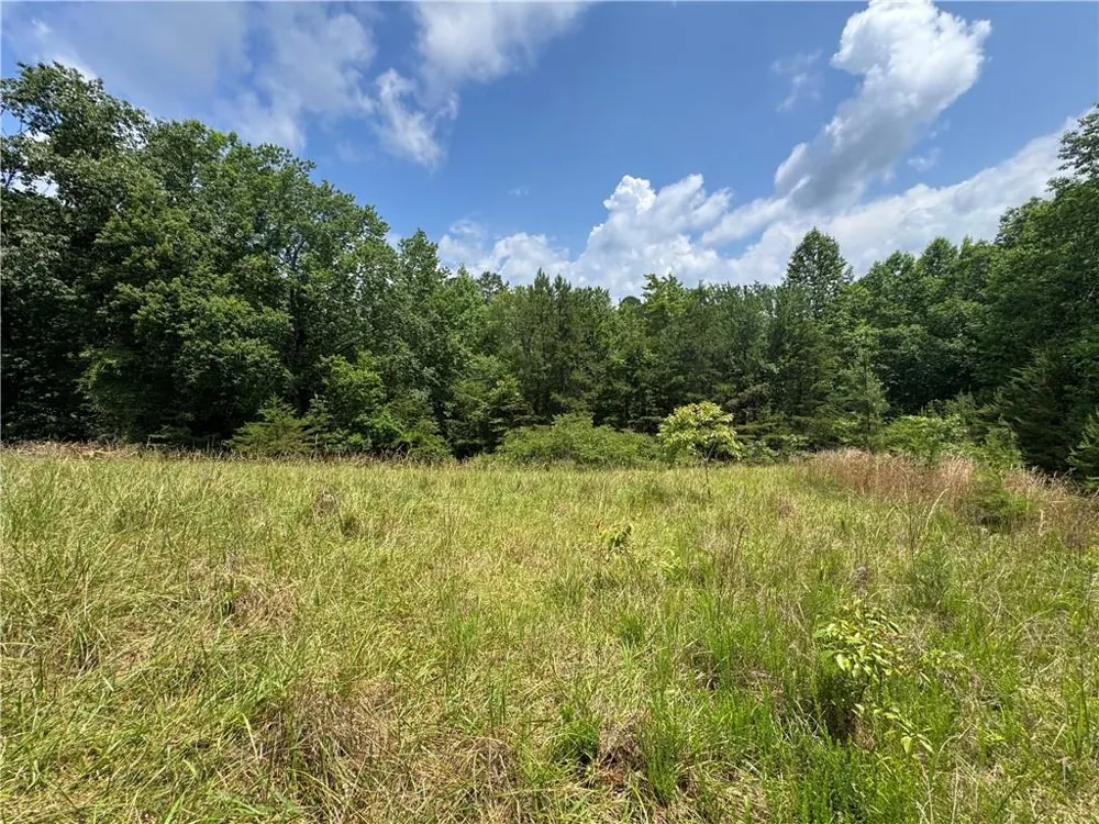 3.5 AC Ben Higgins Road Dahlonega, GA 30533