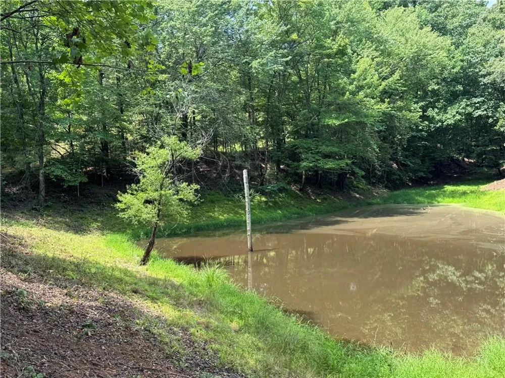 3.5 AC Ben Higgins Road Dahlonega, GA 30533