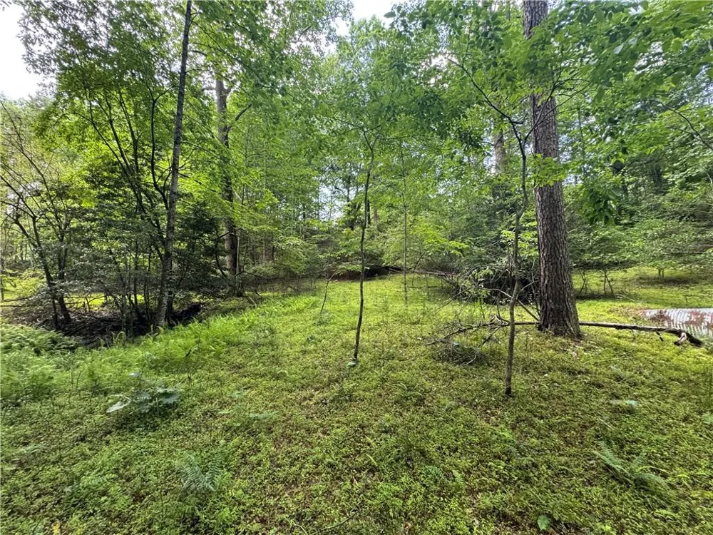 3.5 AC Ben Higgins Road Dahlonega, GA 30533