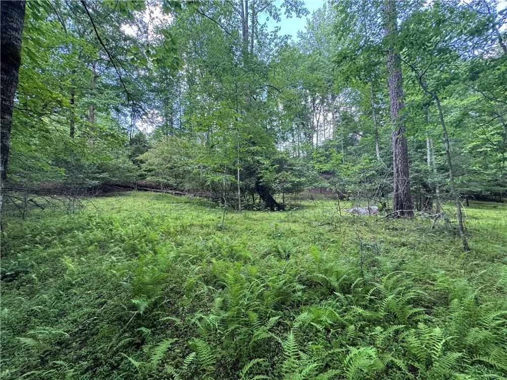 3.5 AC Ben Higgins Road Dahlonega, GA 30533