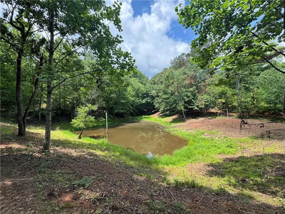 3.5 AC Ben Higgins Road Dahlonega, GA 30533