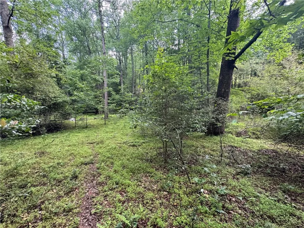 3.5 AC Ben Higgins Road Dahlonega, GA 30533