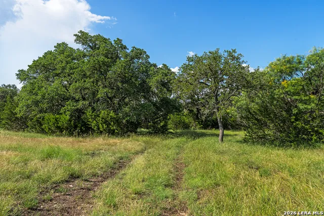 TBD KC 442 Harper, TX 78631