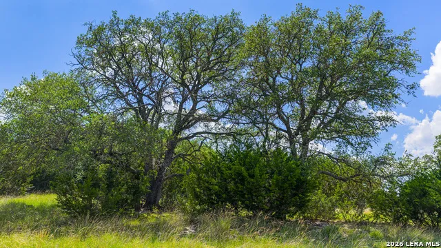 TBD KC 442 Harper, TX 78631