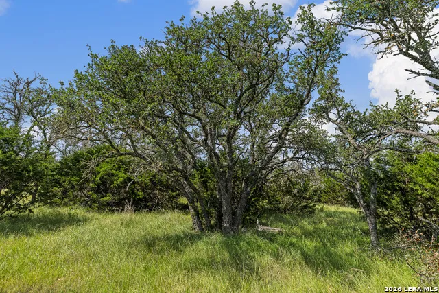 TBD KC 442 Harper, TX 78631