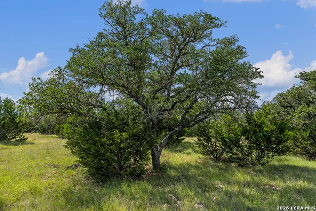 TBD KC 442 Harper, TX 78631