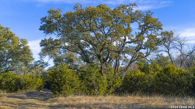 TBD KC 442 Harper, TX 78631