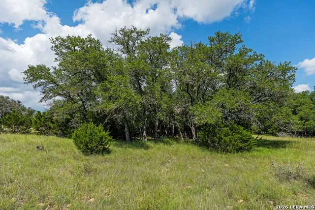 TBD KC 442 Harper, TX 78631