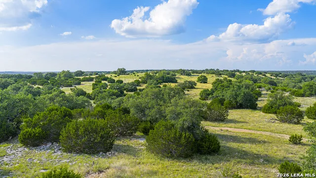 TBD KC 442 Harper, TX 78631