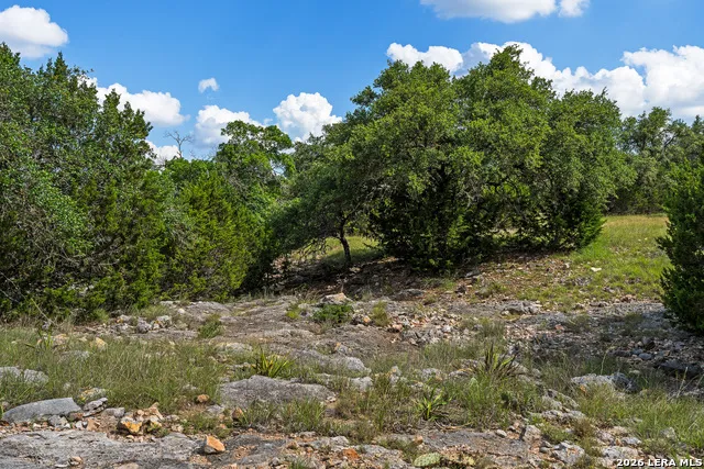 TBD KC 442 Harper, TX 78631
