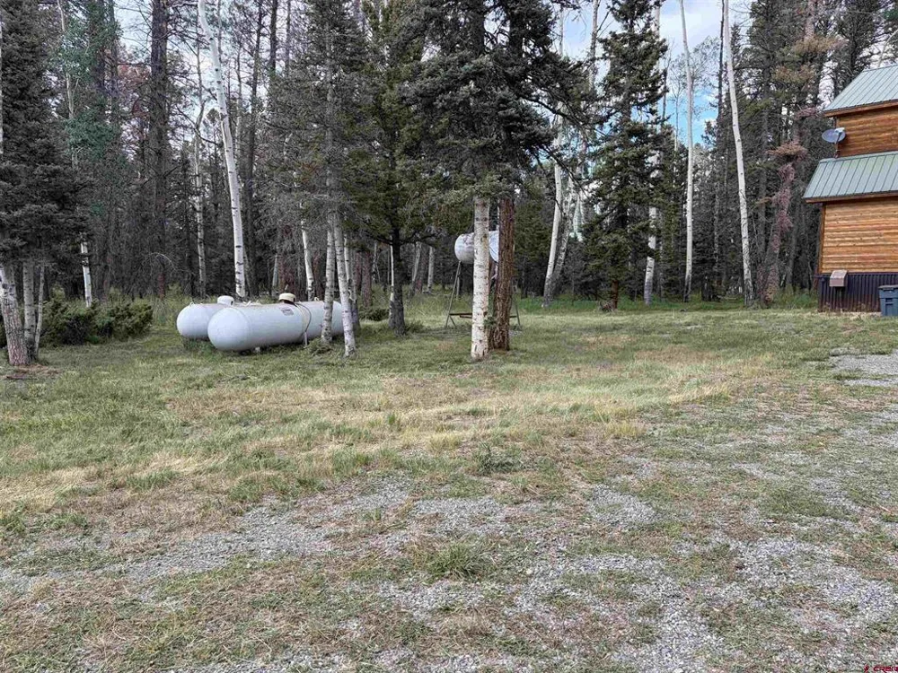 1380 Spruce Road Cimarron, CO 81220
