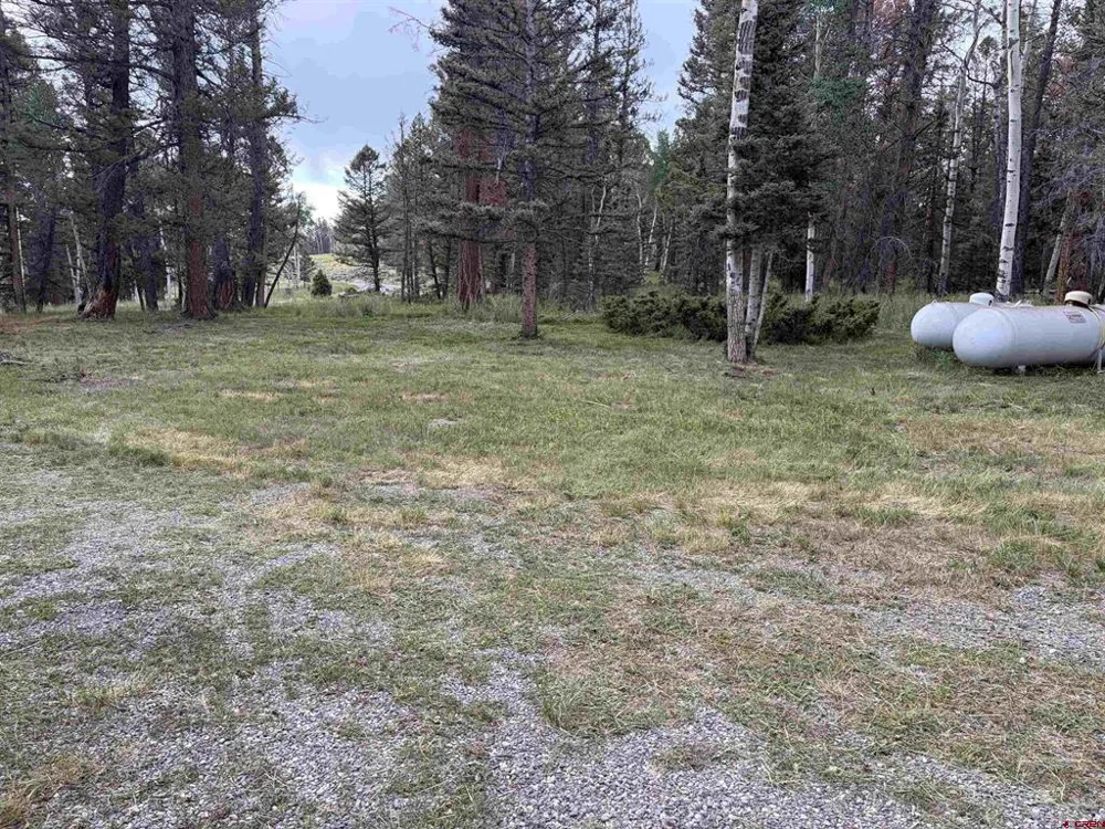 1380 Spruce Road Cimarron, CO 81220